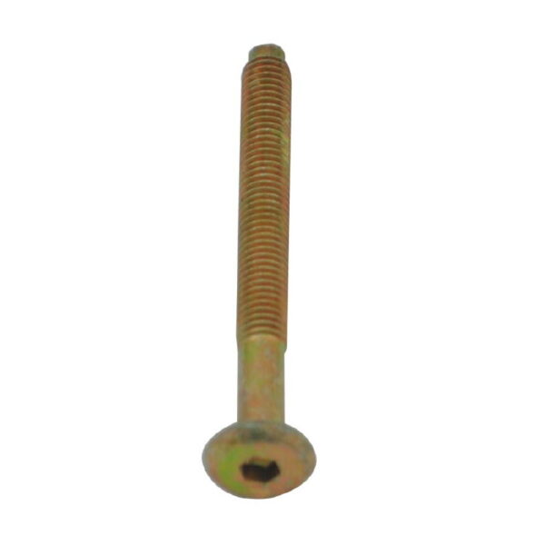 Iron MS Screw (50)